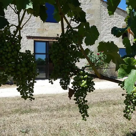 L'annexe Du Comptoir *