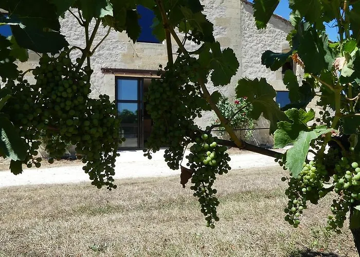 L'annexe Du Comptoir *